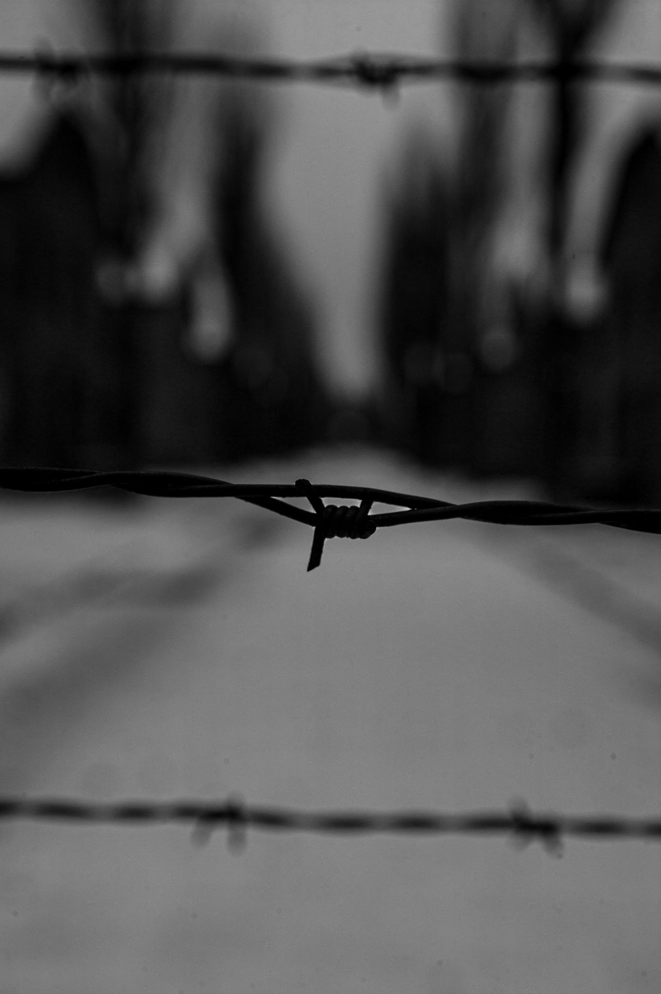  Barbed wire 